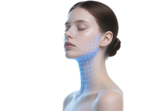 2025 neue Entwicklungsphase